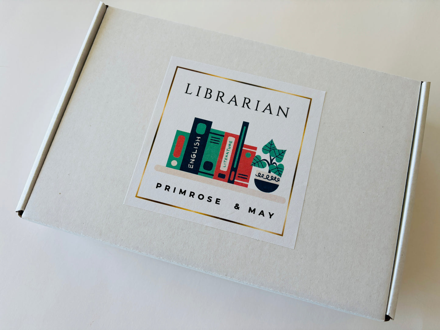 Librarian Mystery Stocking Stuffers – A Curated Surprise for Book Lovers & Readers