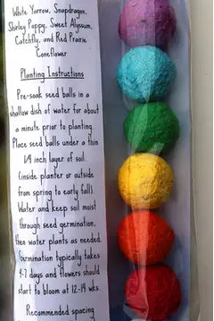 Hop Into Spring with Wildflower Seed Bombs!